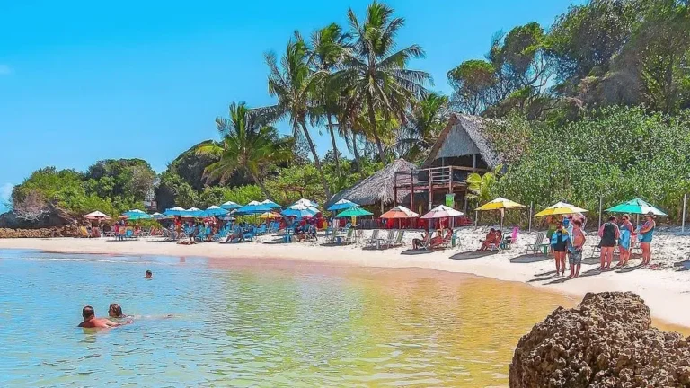 Descobrindo a Exuberância da Praia de Tambaba: Natureza Preservada e Liberdade à Beira-Mar