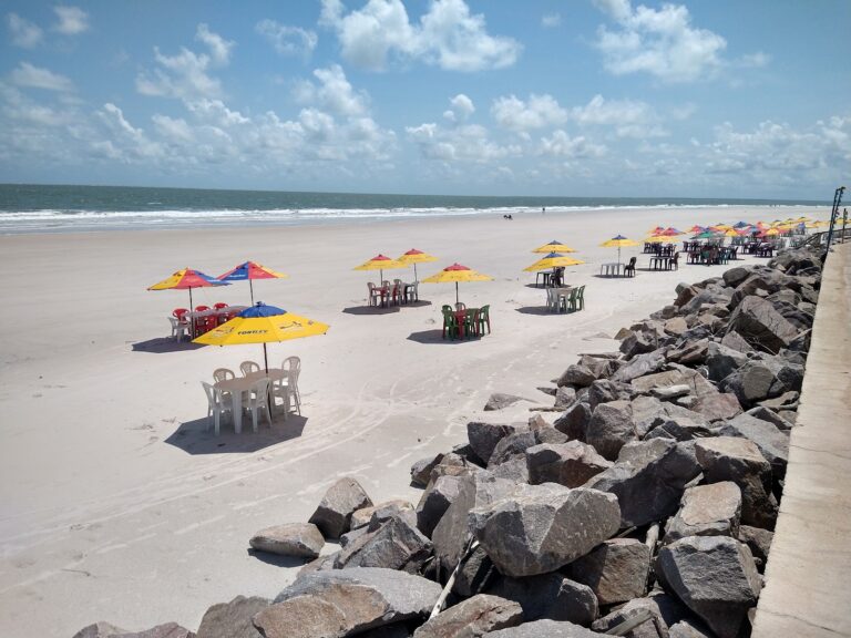 Praia do Ajuruteua: Um Refúgio Natural em Bragança, Pará