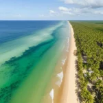 Foto aérea da deslumbrante praia de Japaratinga com coqueiros e mar azul turquesa.