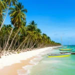 Praia de Maceió com coqueiros e jangadas, vista panorâmica.