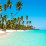 Praia de Maragogi com água azul turquesa e coqueiros.