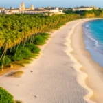 Paisagem paradisíaca de Porto Seguro com coqueiros e praia.