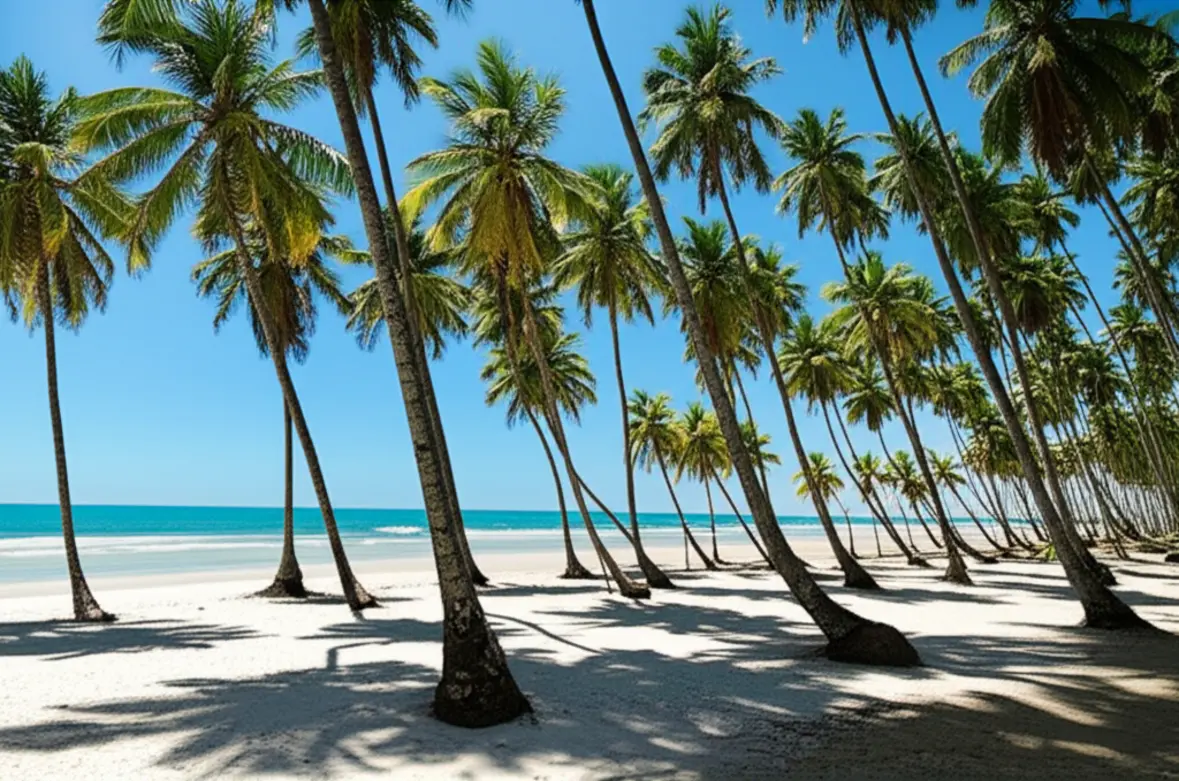 Praia do Forte, Bahia, com coqueiros e mar azul-turquesa.
