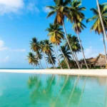 Paraíso tropical com mar cristalino em São Miguel dos Milagres.