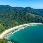 Vista aérea da Praia do Félix em Ubatuba, mostrando a Mata Atlântica e o oceano.