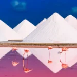 Paisagem icônica de Bonaire com flamingos cor-de-rosa e montanhas de sal brancas ao fundo.
