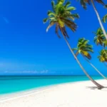 Praia paradisíaca em Punta Cana com areia branca e mar turquesa.