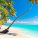 Vista aérea deslumbrante das praias de La Romana na República Dominicana.