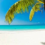 Vista aérea de uma praia paradisíaca na Riviera Maya com águas azul-turquesa.