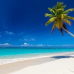 Praia paradisíaca em Barbados com mar azul-turquesa e palmeiras.