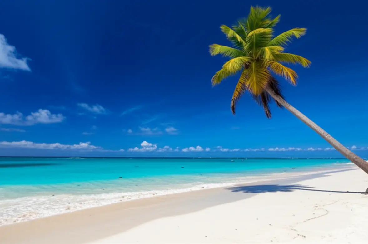 Praia paradisíaca em Barbados com mar azul-turquesa e palmeiras.