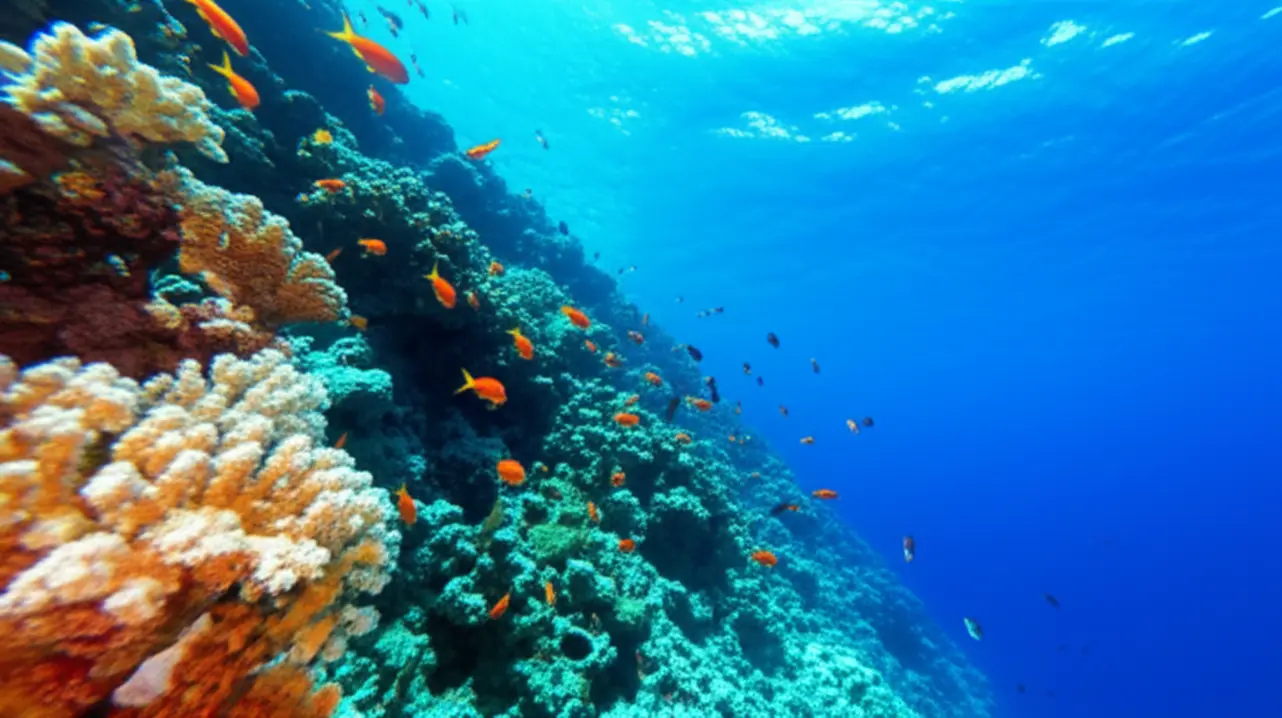 Mergulhador explorando recifes de corais coloridos e vida marinha no Mar Vermelho.
