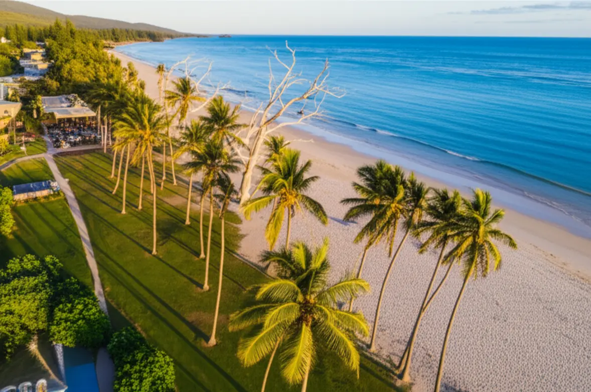 Vista aérea da orla de Palm Cove com suas palmeiras icônicas e mar calmo.