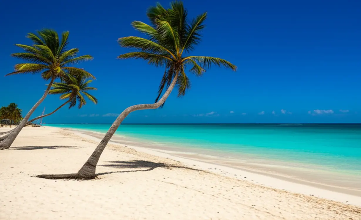 Árvore Divi-Divi inclinada em direção ao mar azul-turquesa em uma praia de areia branca em Aruba.