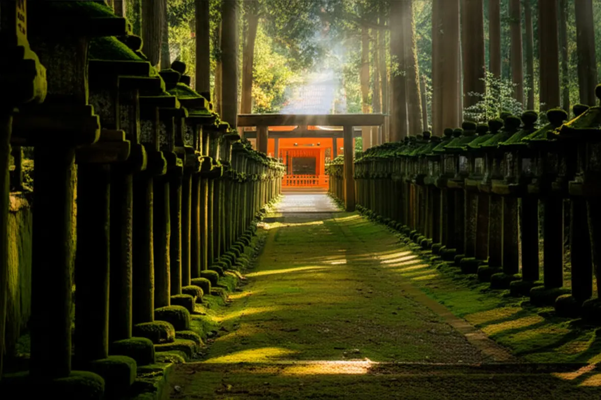 Trilhas de lanternas de pedra cobertas de musgo no Santuário Kasuga Taisha em Nara.