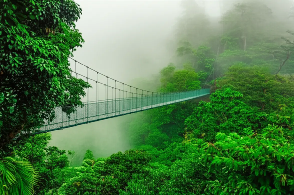Ponte suspensa de madeira e metal atravessando a copa de uma floresta tropical nublada em La Fortuna.